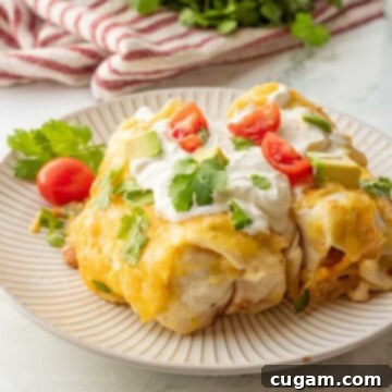 Baked green chile enchiladas on a plate, garnished with fresh cilantro.