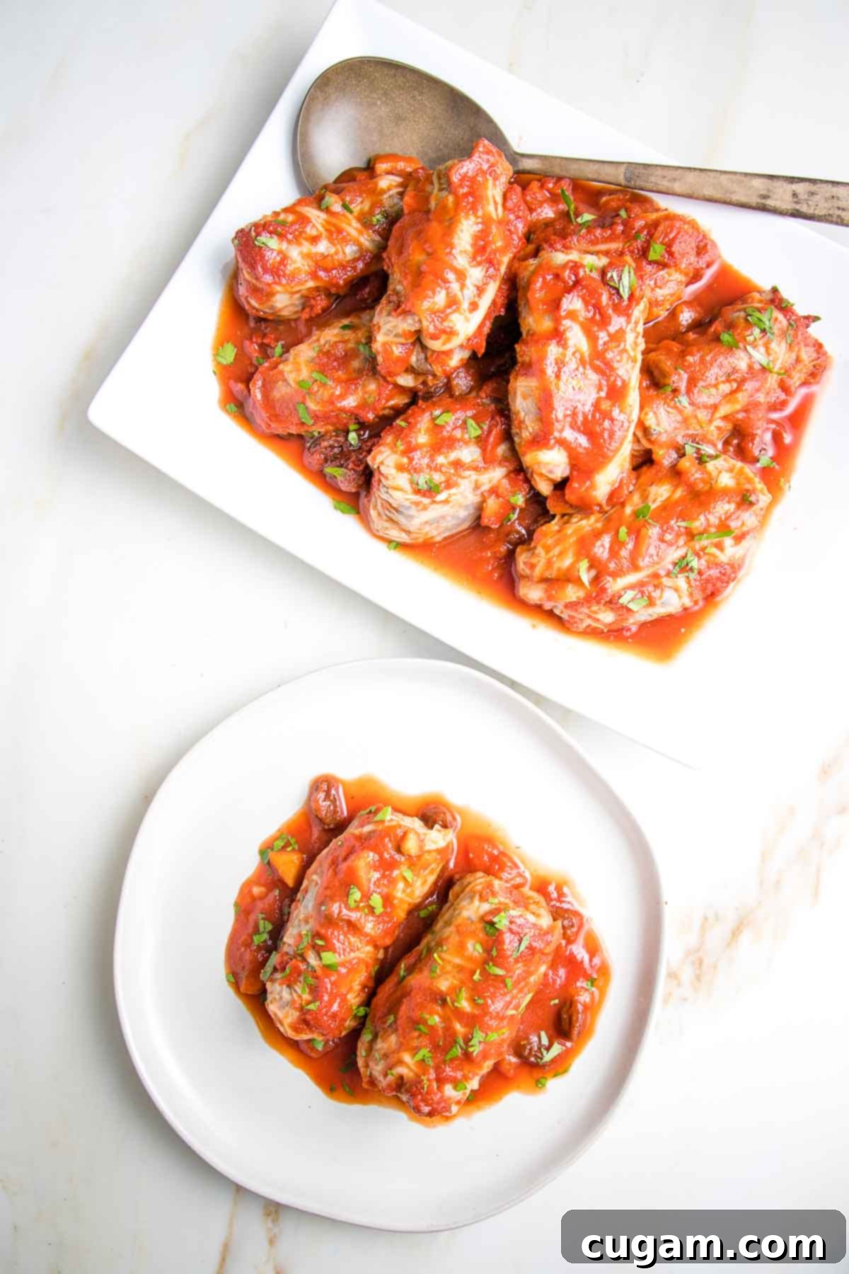 Hearty Vegan Cabbage Bundles 2 Serving platter of stuffed cabbage rolls with red sauce and a plate with two rolls.