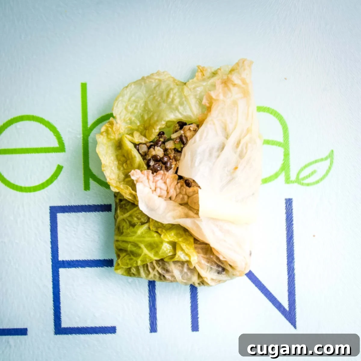Hearty Vegan Cabbage Bundles 12 Cabbage leaf, with filling in center, bottom and one side folded into center.