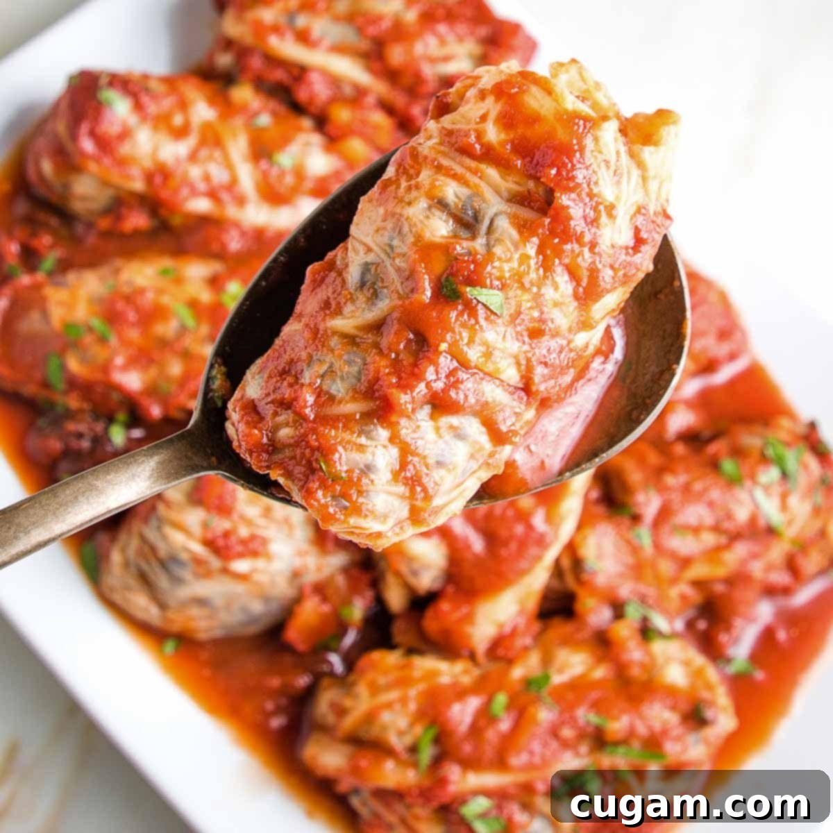 Hearty Vegan Cabbage Bundles 20 Close up of stuffed cabbage roll with red sauce and blurred behind is a platter of rolls.