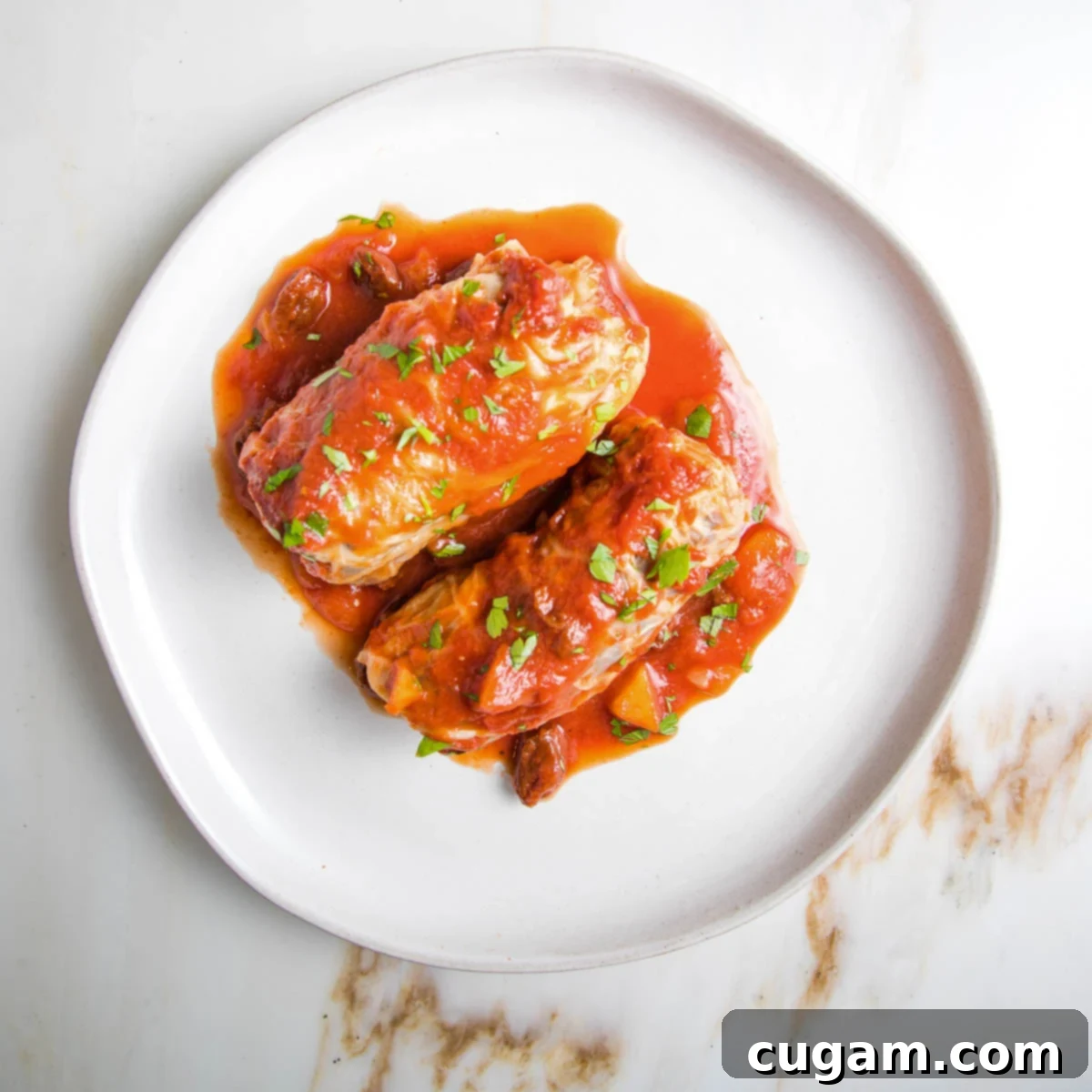 Hearty Vegan Cabbage Bundles 21 Two stuffed cabbage rolls on a plate with red sauce spooned over.
