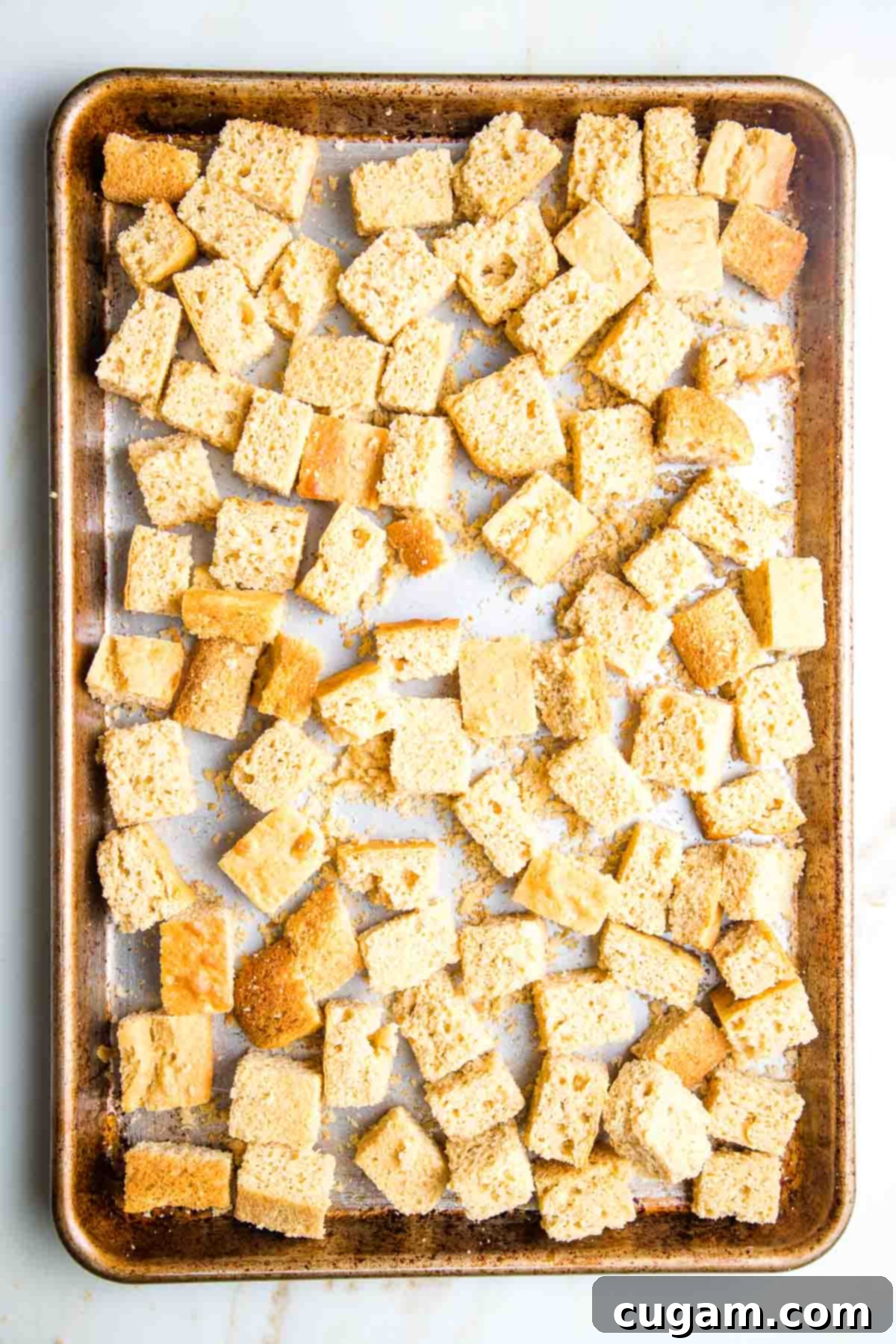 Cubes of cornbread drying overnight on a baking tray in a single layer.