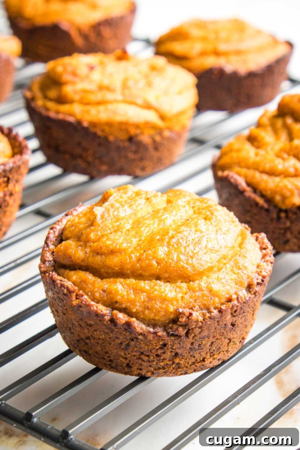 Close up of mini pumpkin pies cooling on a wire rack.