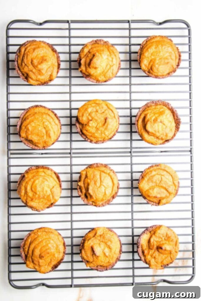 A single mini pumpkin pie with a slice taken out, revealing the creamy interior.