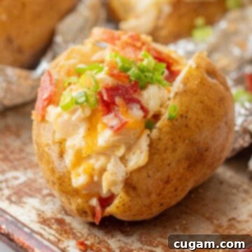 Chicken Bacon Ranch Baked Potatoes 11 Baked potato with cheesy chicken ranch and bacon filling on metal baking sheet.
