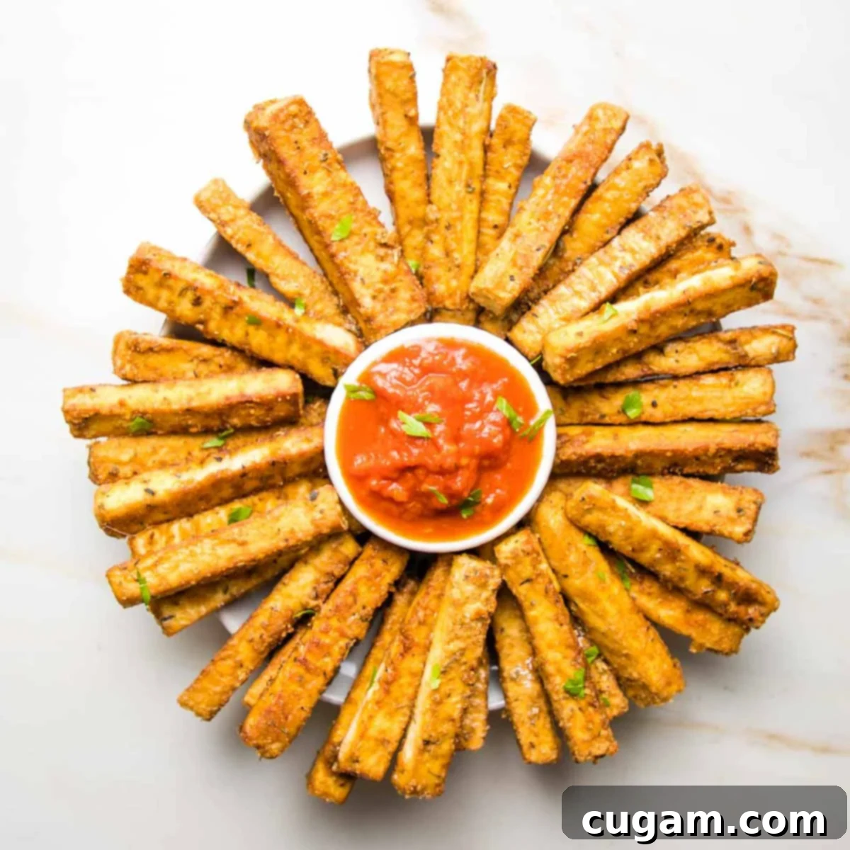 Long rectangular crispy tofu pieces served with marinara sauce.