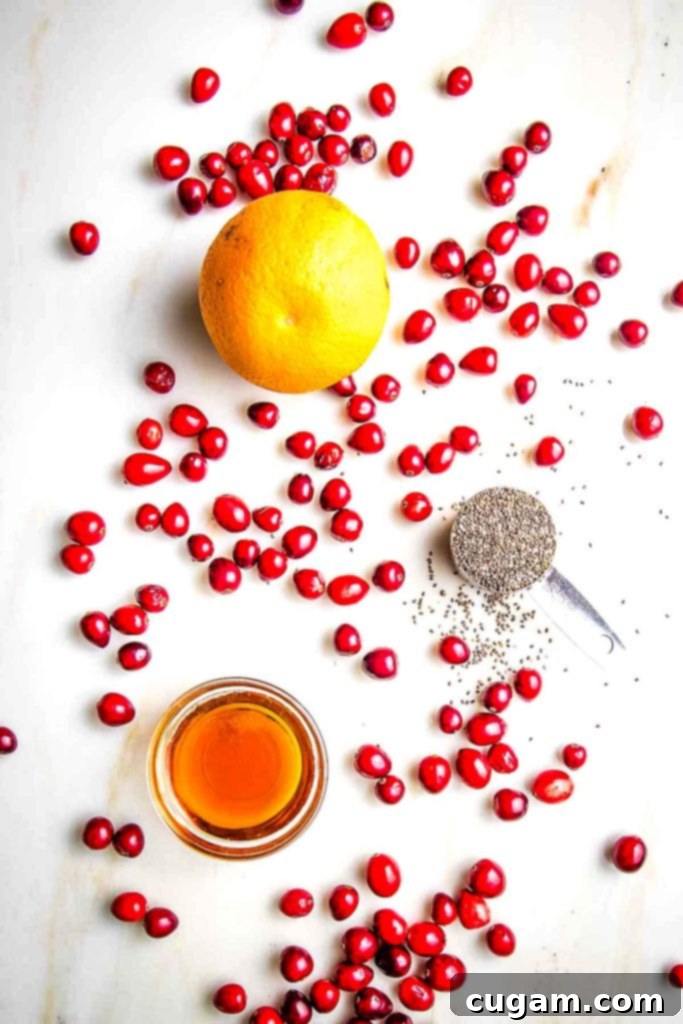Cranberries spread out on a counter along with an orange, a jar of maple syrup and a tablespoon on chia seeds.