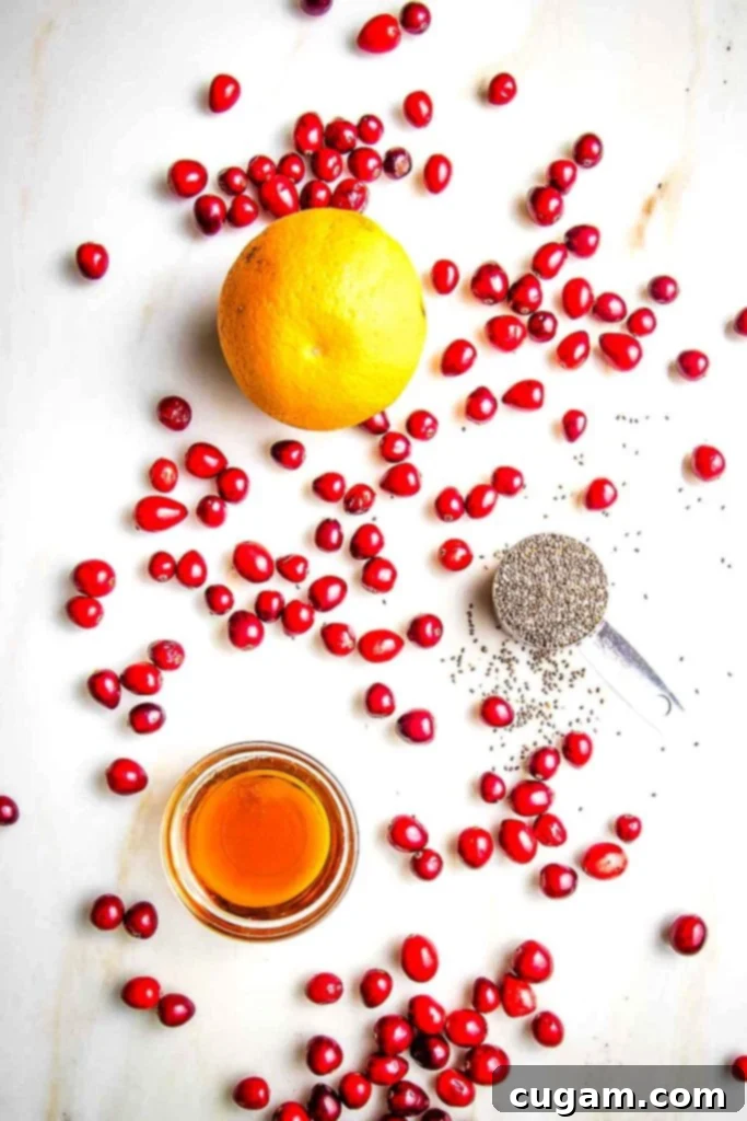 Cranberries spread out on a counter along with an orange, a jar of maple syrup and a tablespoon on chia seeds.
