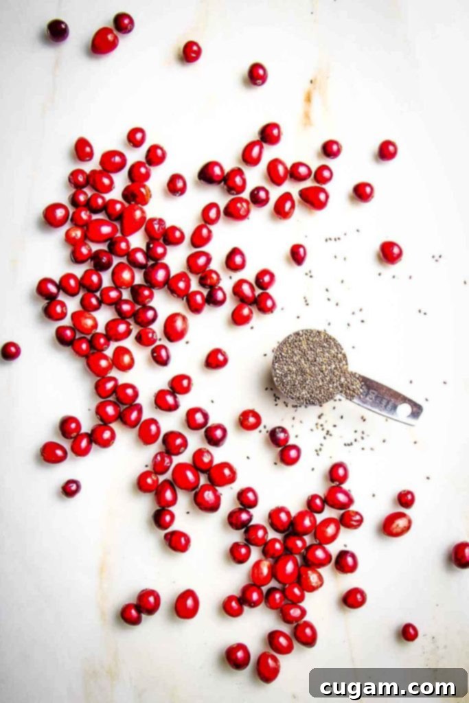 Cranberries spread out on a white counter along with a tablespoon filled with chia seeds.