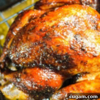 Maple Mustard Glazed Turkey