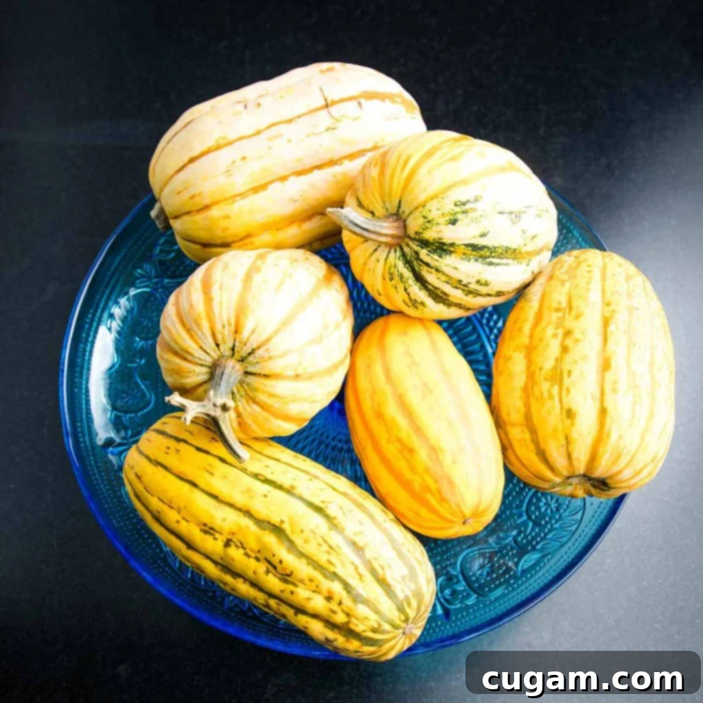 An artistic assortment of whole delicata squash displayed on a pedestal, highlighting their distinct striped patterns.