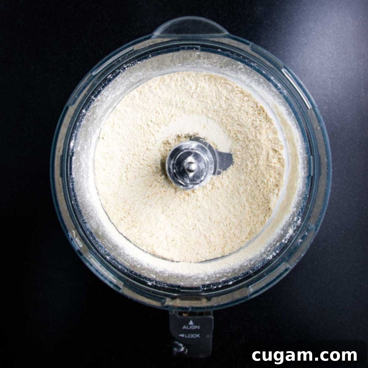 Flour and salt are combined in a food processor bowl, ready for mixing.
