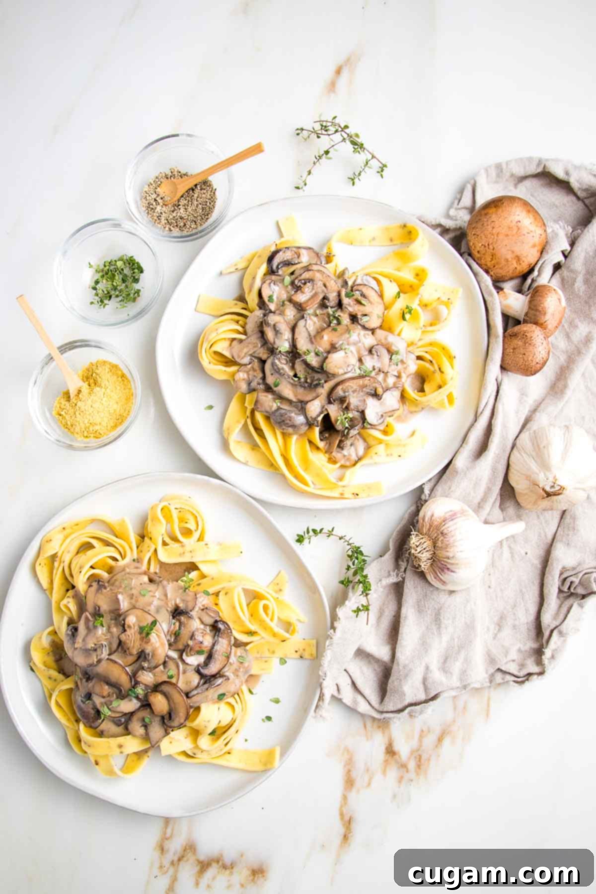 Two plates of ribbon noodles topped with mushroom stroganoff, garnished with fresh herbs and black pepper.
