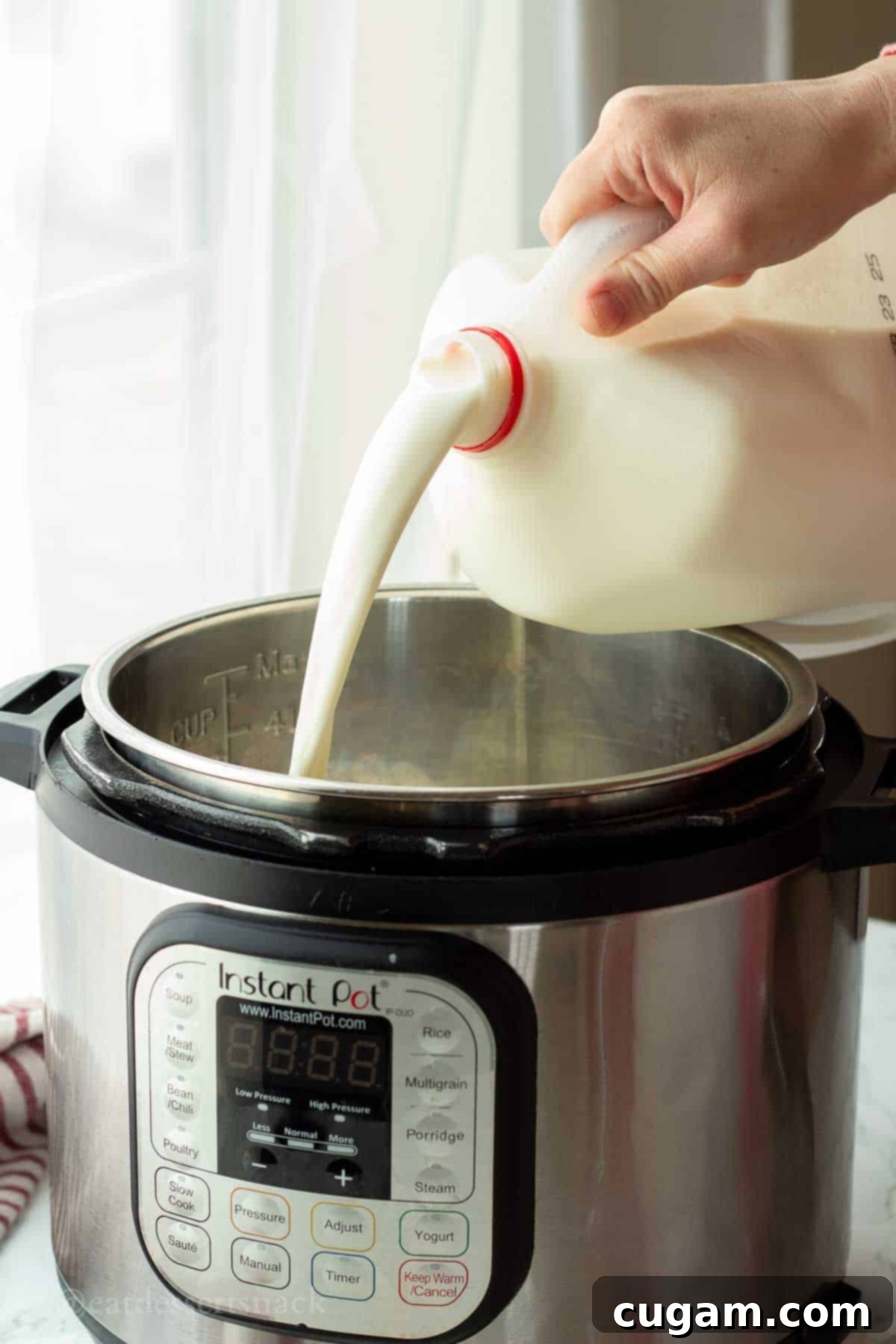 Pouring milk into instant pot liner pan.
