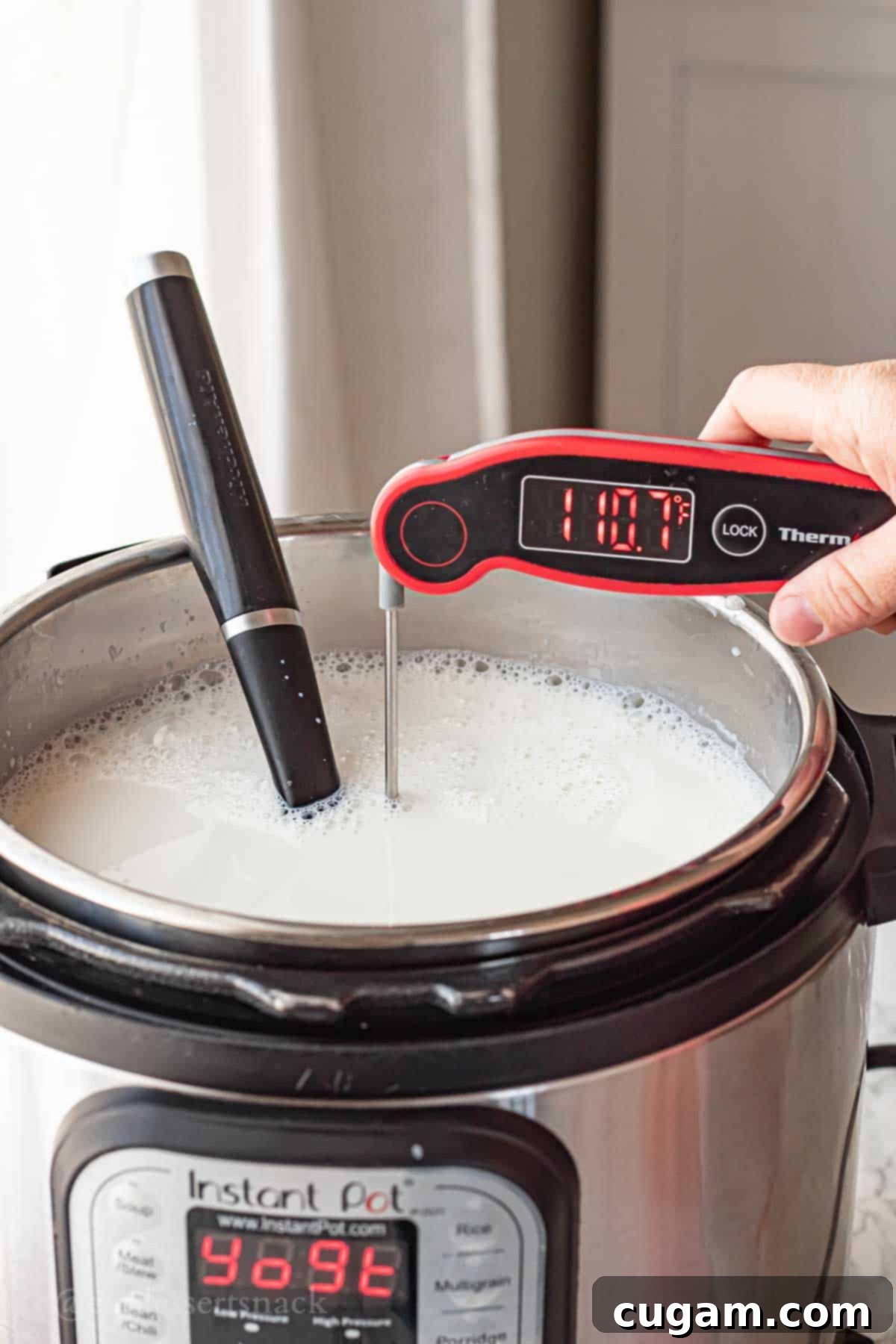 Thermometer in instant pot of milk reading 110 F.