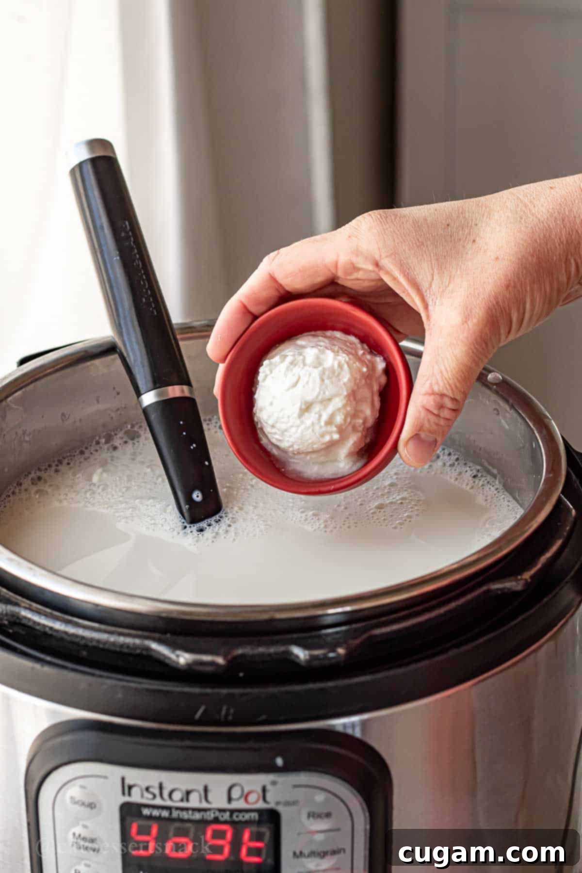 Hand holding bowl of yogurt above milk in instant pot.