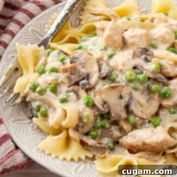 Close-up of a serving of creamy chicken mushroom stroganoff on a white plate with a metal fork.