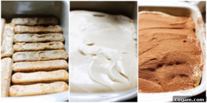 Process shots showing the layering of the second set of ladyfingers and custard, preparing the Tiramisu for its final touches.