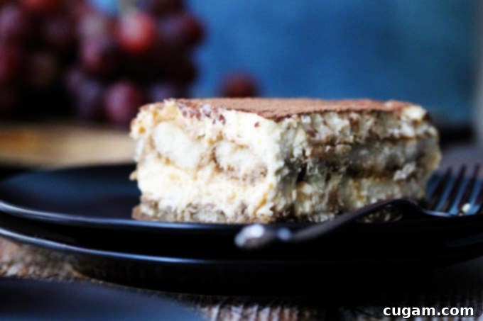 A beautiful final presentation of a classic Tiramisu on a plate, dusted with cocoa powder, inviting enjoyment.