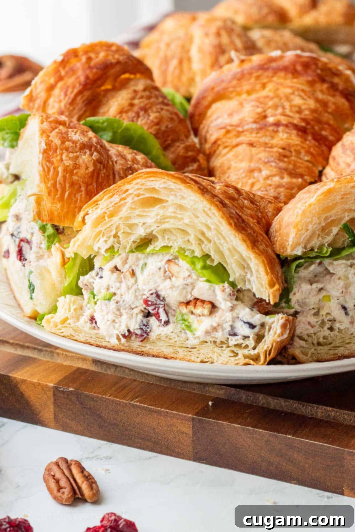 Assembled cranberry chicken pecan salad on croissants, beautifully sliced for serving.