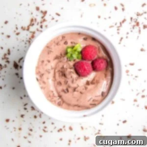 Chocolate pudding with dark chocolate shavings, fresh raspberries and fresh mint.