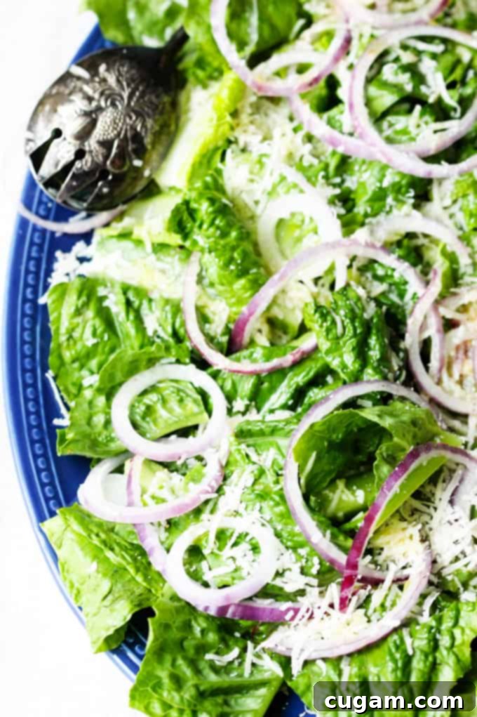 Best green salad with red onions and cheese on a plate, showcasing fresh and vibrant ingredients