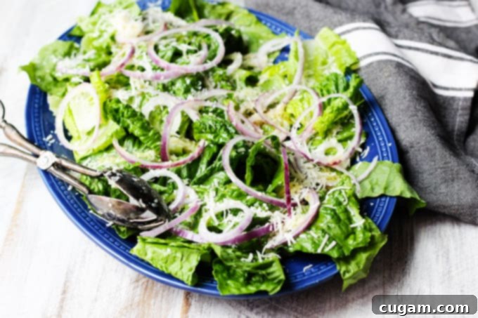 Simple green salad on serving blue plate with kitchen towel on a side, highlighting its freshness
