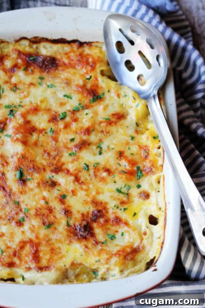 Provencal Squash Gratin in a casserole dish with serving spoon