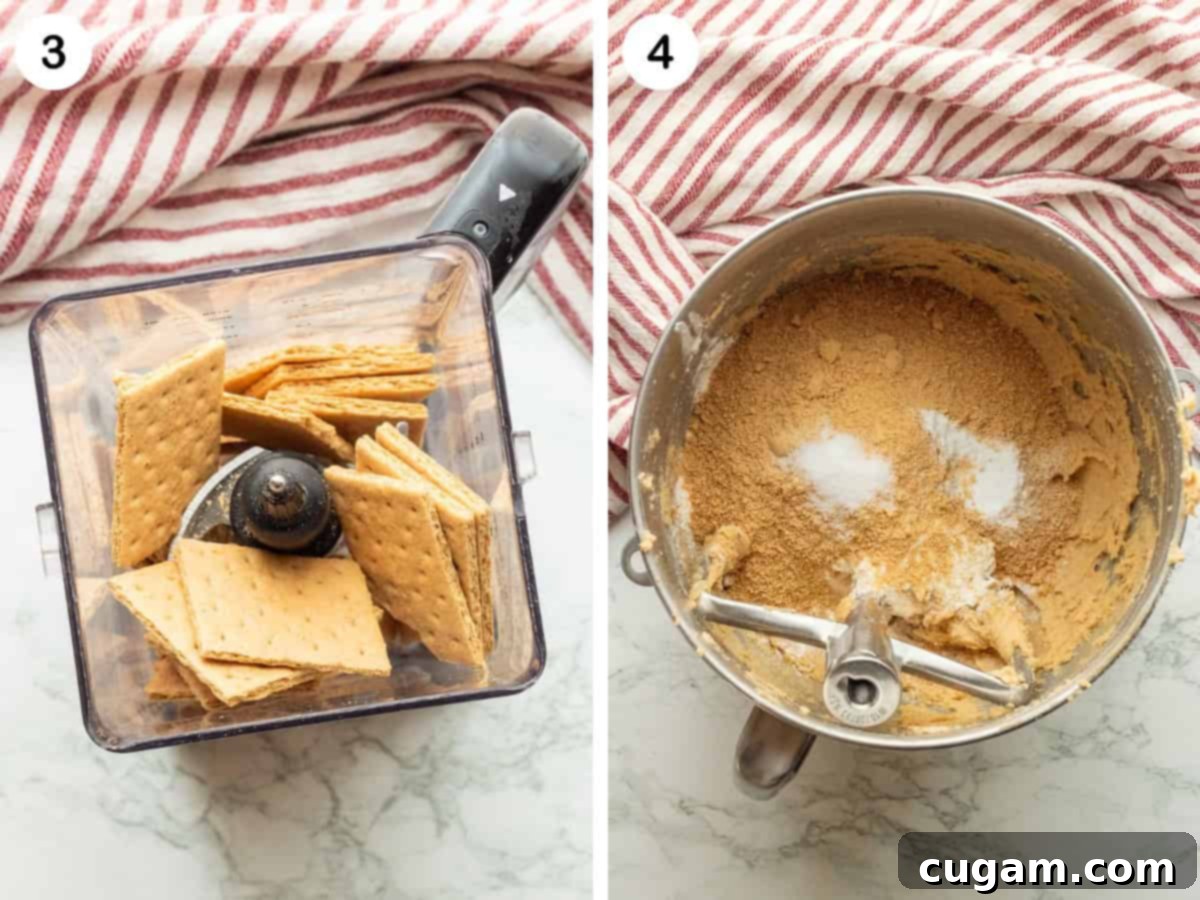 Graham crackers in quater blender and crumbs and salt in metal mixing bowl.