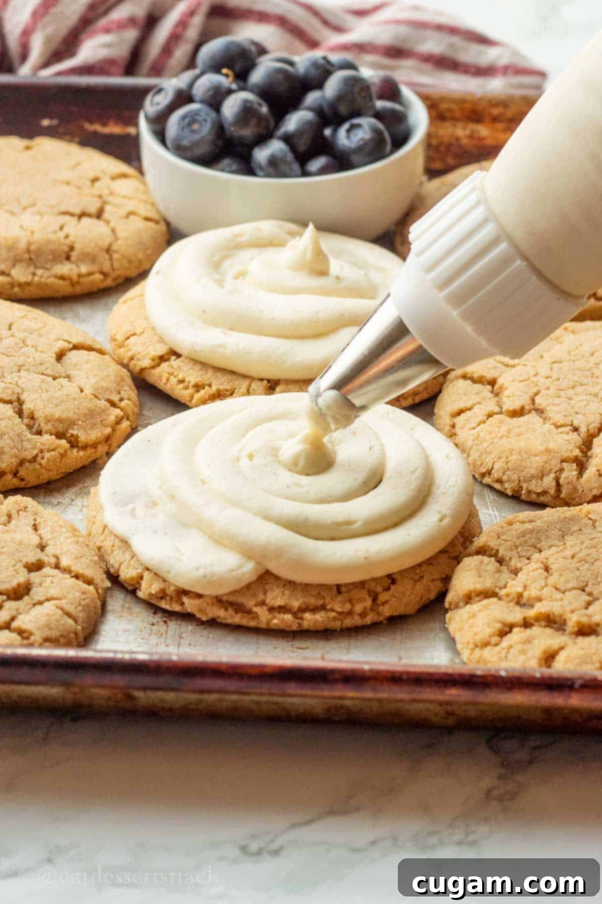 Piping frosting onto graham cracker cookie.