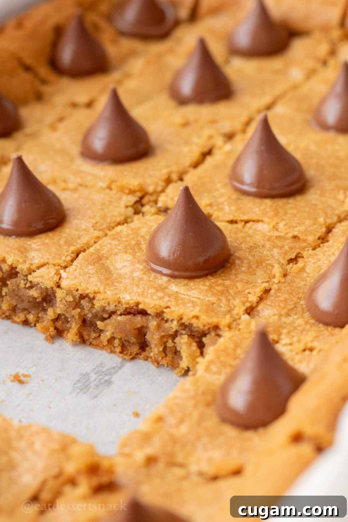 Sliced peanut butter blossom bars.