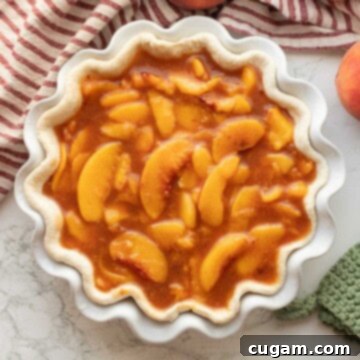 Cooked peach pie filling in raw pie shell.
