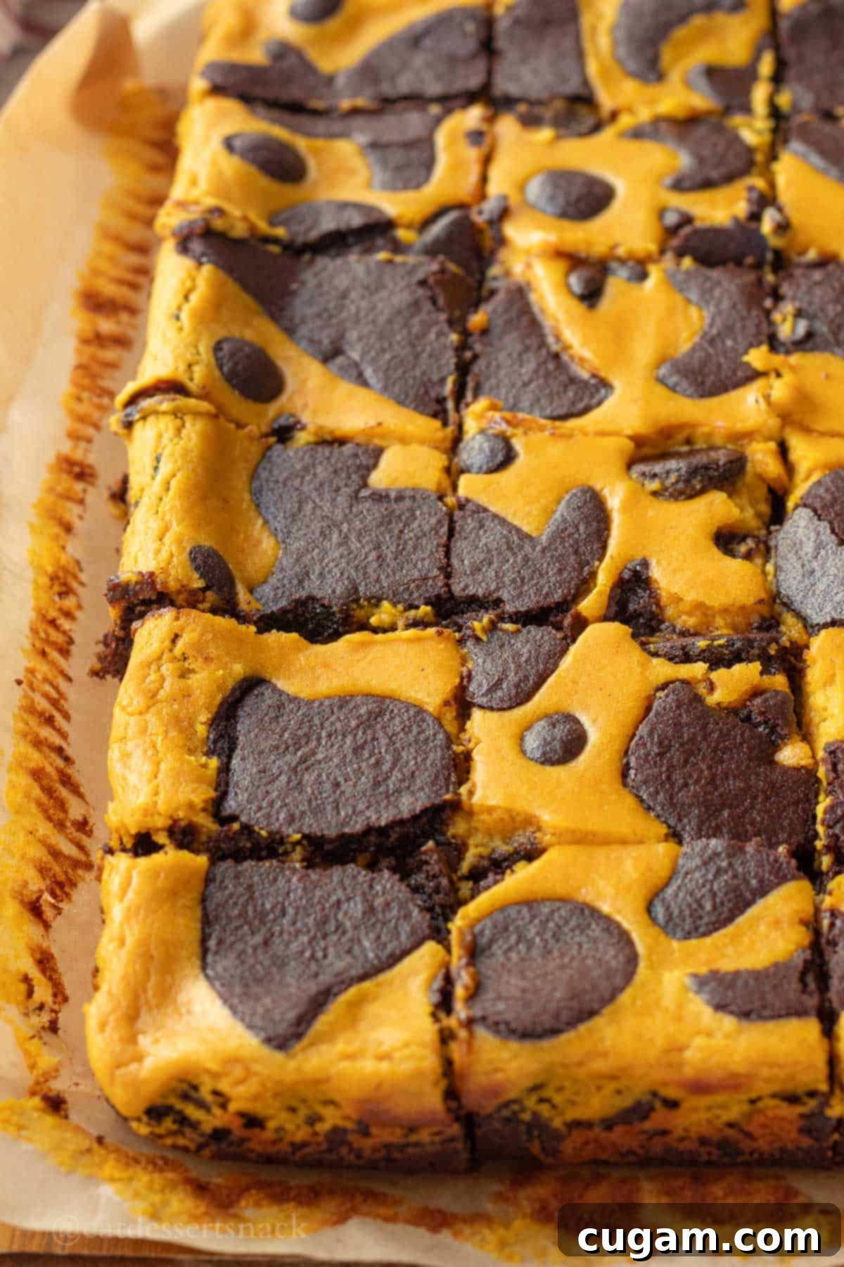 Sliced pumpkin cheesecake bars on parchment paper.