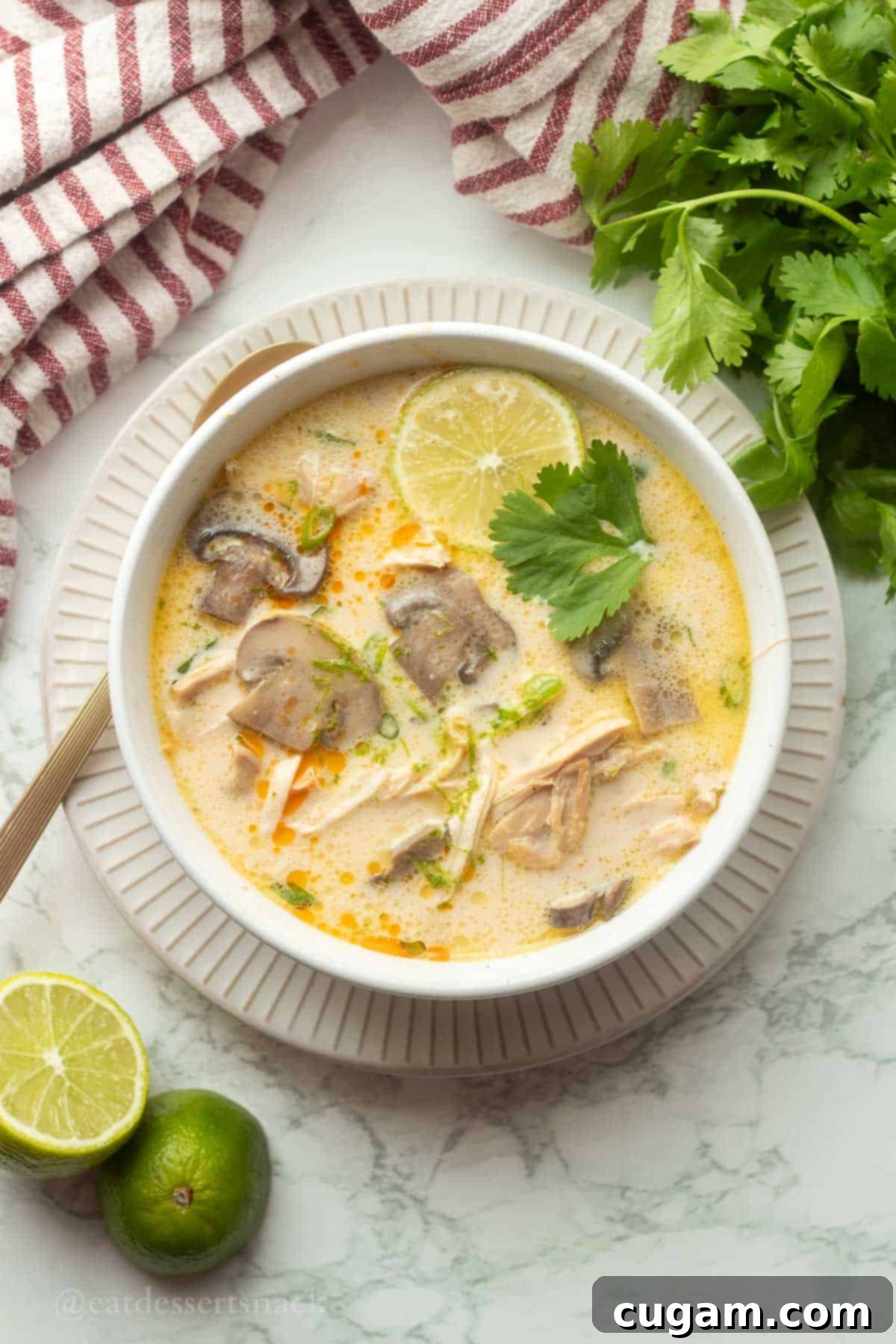 Tom Kha Gai 2 Bowl of Thai coconut chicken soup with lime and cilantro.