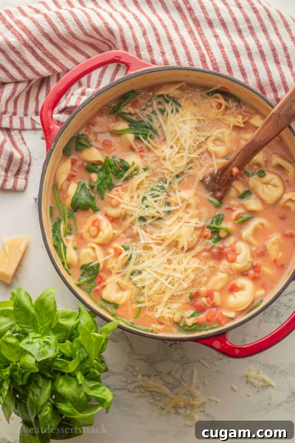 Tomato, White Bean & Tortellini Soup: A Tuscan Twist 2 Tortellini tomato soup in pot with wooden spoon and basil.