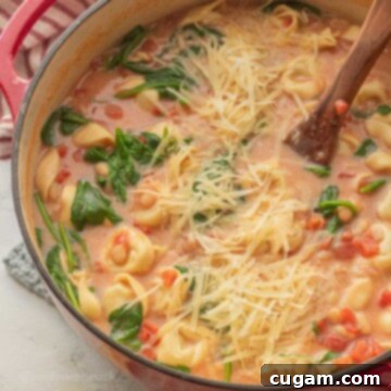 Tortellini white bean tomato soup in pot with spinach and cheese.