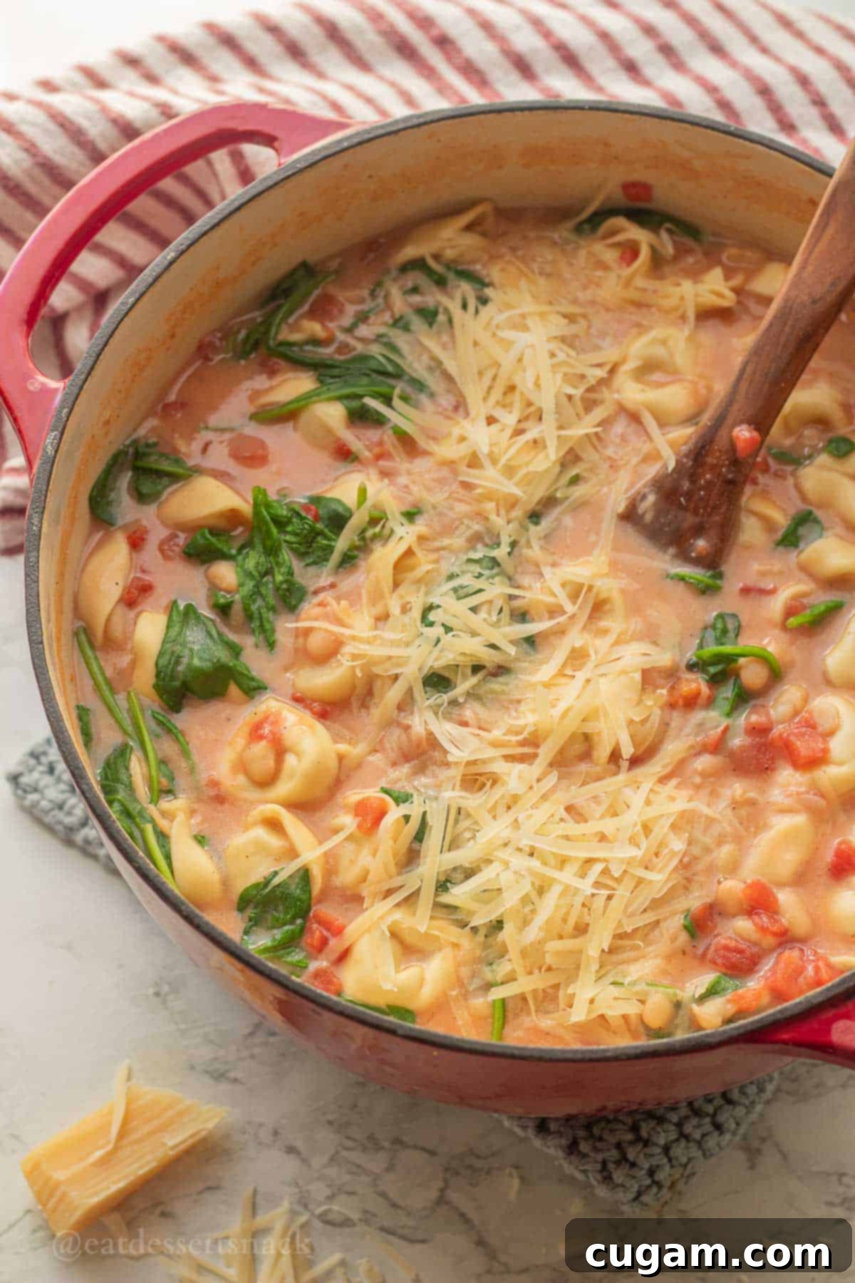 Tomato, White Bean & Tortellini Soup: A Tuscan Twist 8 Tortellini tomato soup in pot with wooden spoon.