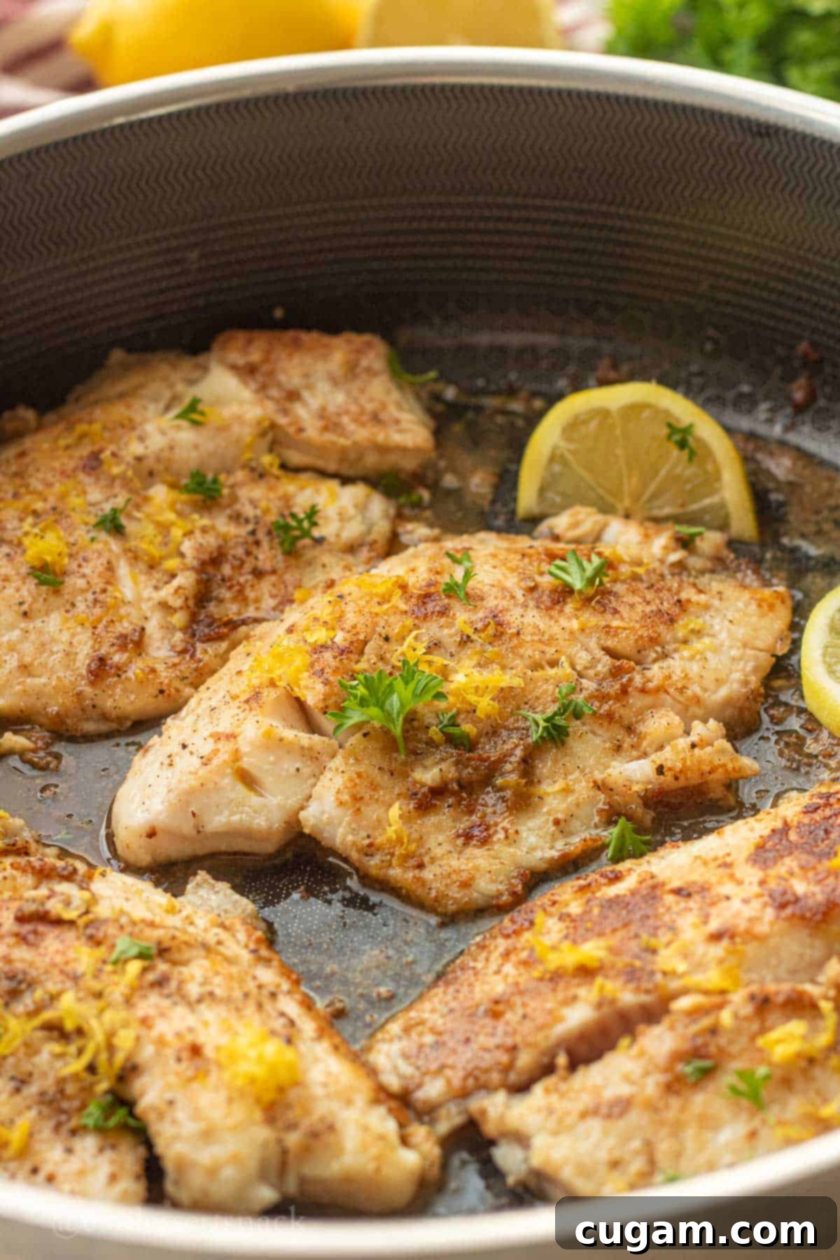 Perfectly Zesty Lemon Pepper Tilapia 2 Lemon Pepper Tilapia cooked in a pan, garnished with lemon zest and parsley.