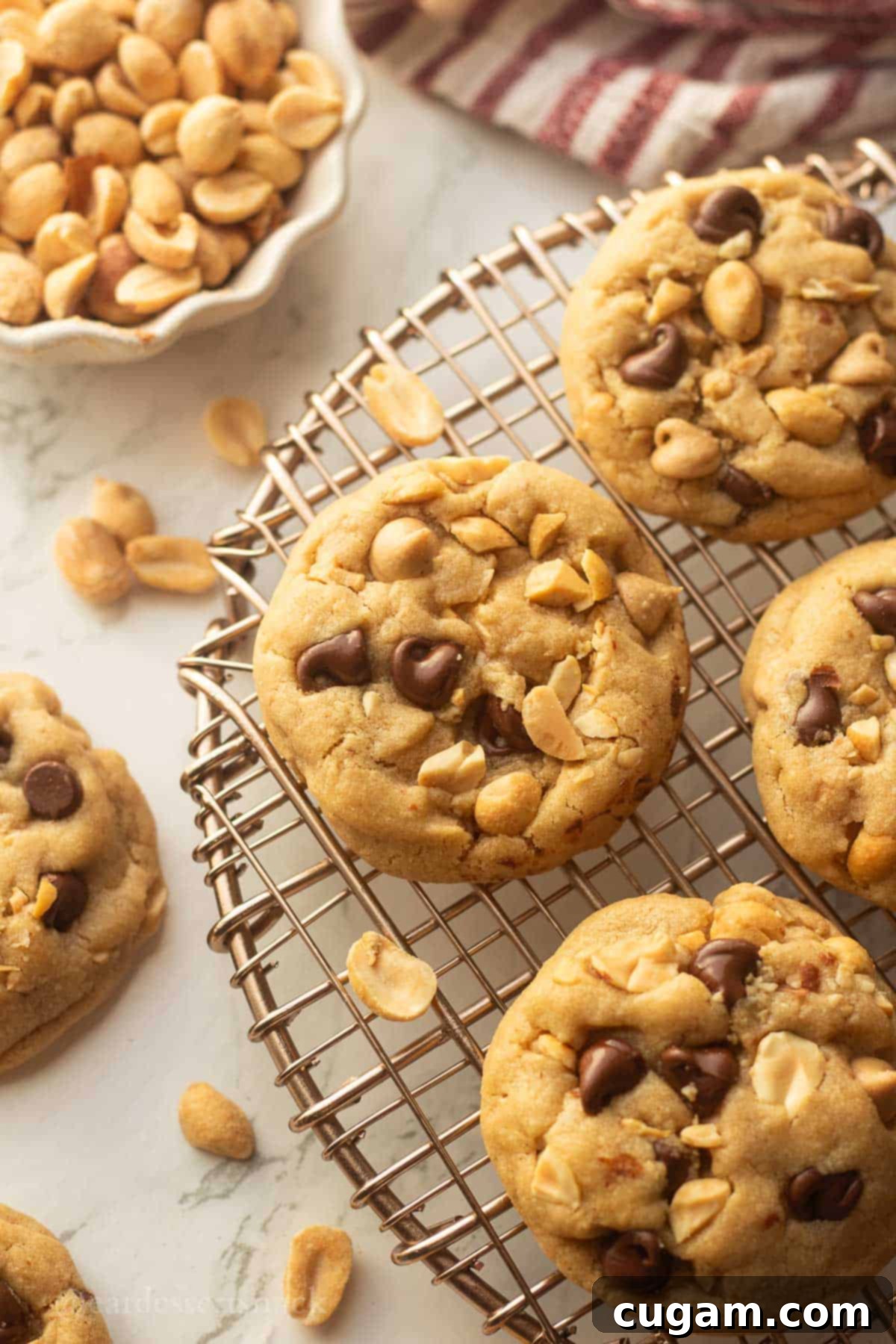 Chocolate Chip Peanut Butter Swirl Cookies 2 Deliciously baked peanut butter cookies cooling on a metal cooking rack, showcasing their soft and chewy texture.