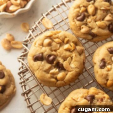 Baked peanut butter cookies on metal cooking rack.