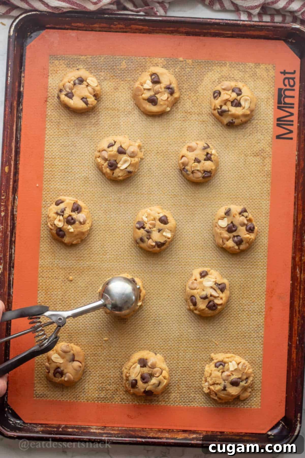 Chocolate Chip Peanut Butter Swirl Cookies 8 Raw cookie dough balls neatly arranged on a baking sheet lined with parchment paper, ready for the oven.