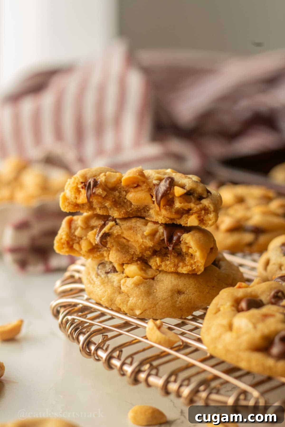 Chocolate Chip Peanut Butter Swirl Cookies 9 A tempting stack of perfectly baked peanut butter cookies, showcasing their irresistible texture and flavor.